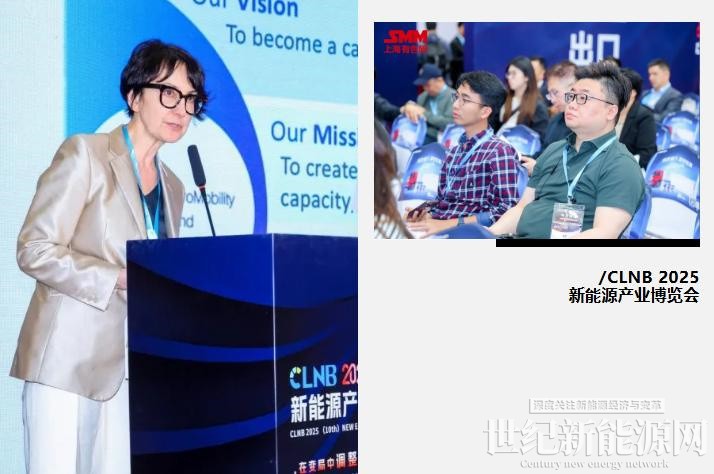 1744967384719154.jpg 10.jpg